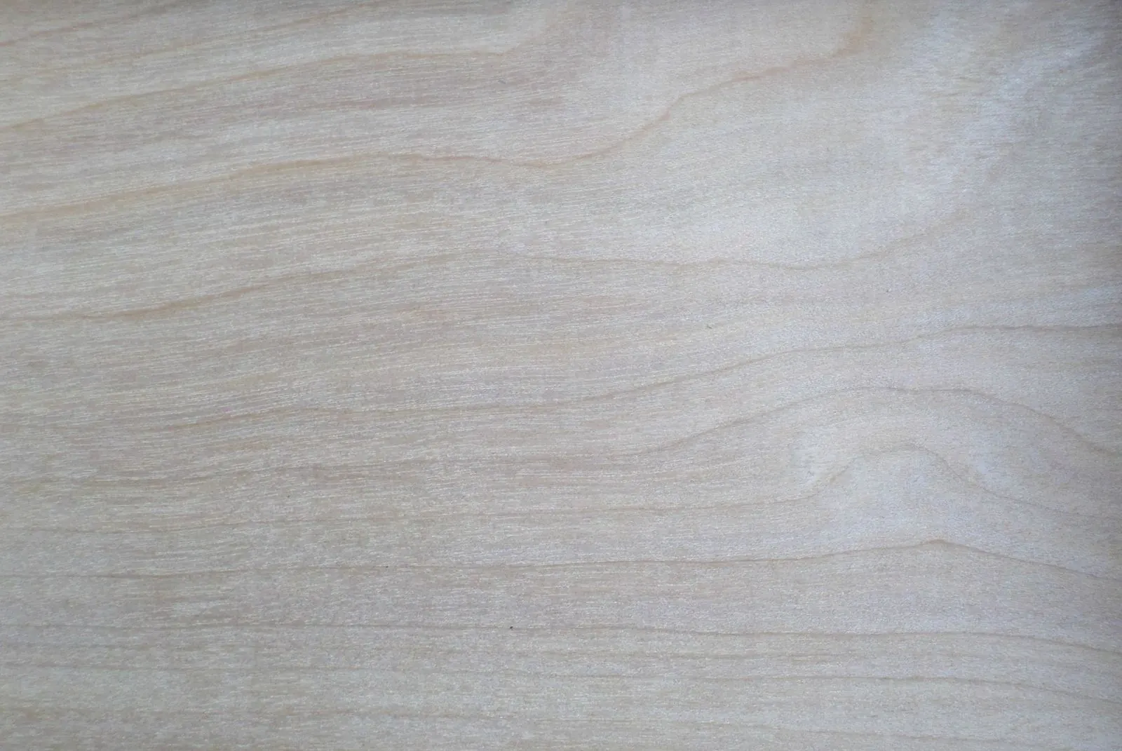 Asian Plywoods